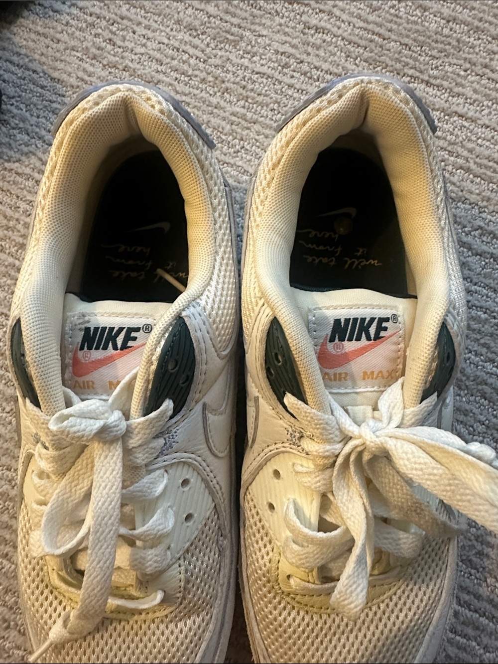 Nike Air Max size 8.5